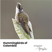 Hummingbirds of Colombia cover image