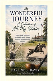 My Wonderful Journey, Volume #3 cover image