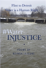 #WaterINJUSTICE cover image