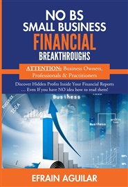 NO BS SMALL BUSINESS FINANCIAL BREAKTHROUGHS cover image
