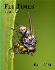 Fly Times 73 (2024) cover image