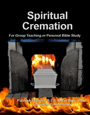 SPIRITUAL CREMATION cover image