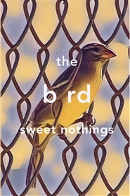 berd the bard: sweet nothings cover image