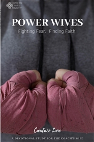 Power Wives cover image