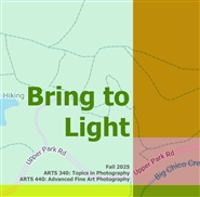 Bring to Light cover image
