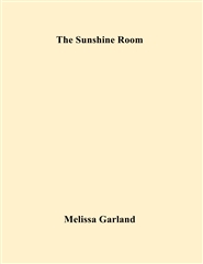 The Sunshine Room cover image