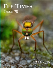 Fly Times 75 (2025) cover image