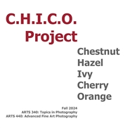 C.H.I.C.O. Project cover image