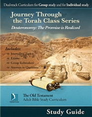 Deuteronomy: The Promise is Realized, Study Guide cover image