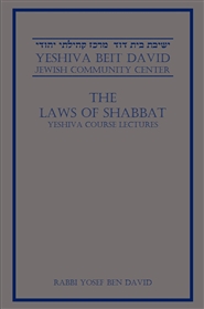 THE LAWS OF SHABBAT cover image