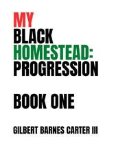 My Black Homestead: Progre ... cover image