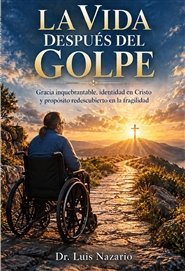 LA VIDA DESPUÉS DEL GOLPE cover image
