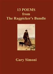13 POEMS cover image
