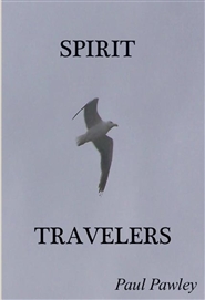 SPIRIT TRAVELERS cover image