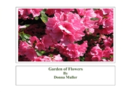 Garden of Flowers cover image