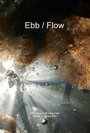 Ebb / Flow cover image