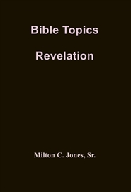 Topics of the Bible  Revel ... cover image