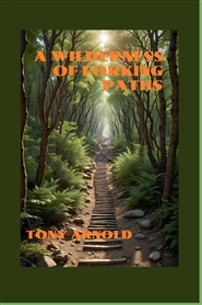 A Wilderness of Forking Paths cover image