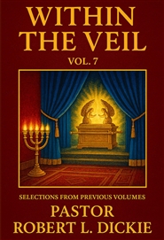Within The Veil Vol. 7 cover image