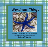 Wondrous Things cover image