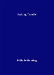 Seeking Trouble cover image