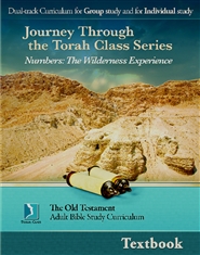 Numbers: The Wilderness Experience, Adult Textbook cover image
