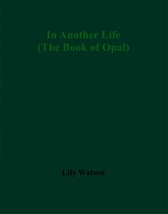 In Another Life (The Book  ... cover image