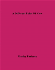 A Different Point Of View cover image