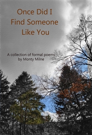 Once Did I Find Someone Li ... cover image