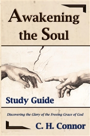 Awakening the Soul - Study ... cover image