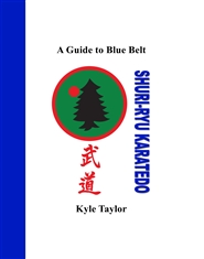 A Guide to Blue Belt cover image