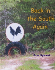 Back In The South  cover image