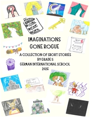Imaginations Gone Rogue cover image