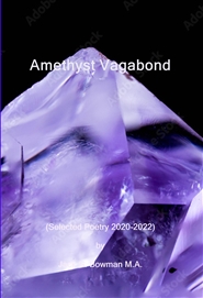 Amethyst Vagabond cover image