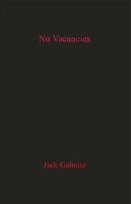 No Vacancies cover image