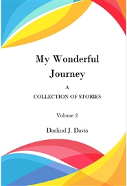 My Wonderful Journey cover image