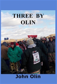    THREE by OLIN cover image