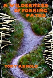 A Wilderness of Forking Paths cover image
