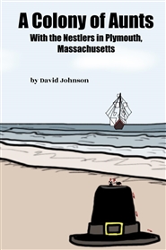 A Colony of Aunts cover image