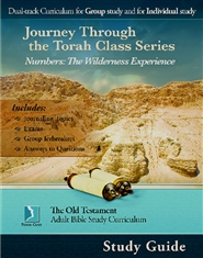 Numbers: The Wilderness Experience, Adult Study Guide cover image