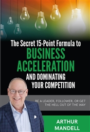 THE 15-POINT FORMULA TO BUSINESS ACCLERATION AND DOMINATING YOUR COMPETITION cover image