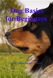 Dog Basics for Beginners cover image