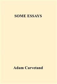 SOME ESSAYS cover image