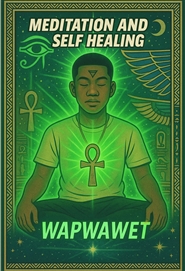 Mediation and self helaing cover image