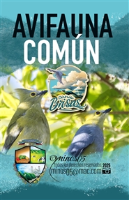 Avifauna Común Brisas cover image