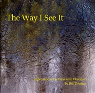 The Way I See It - Impressions of a Passionate Observer cover image