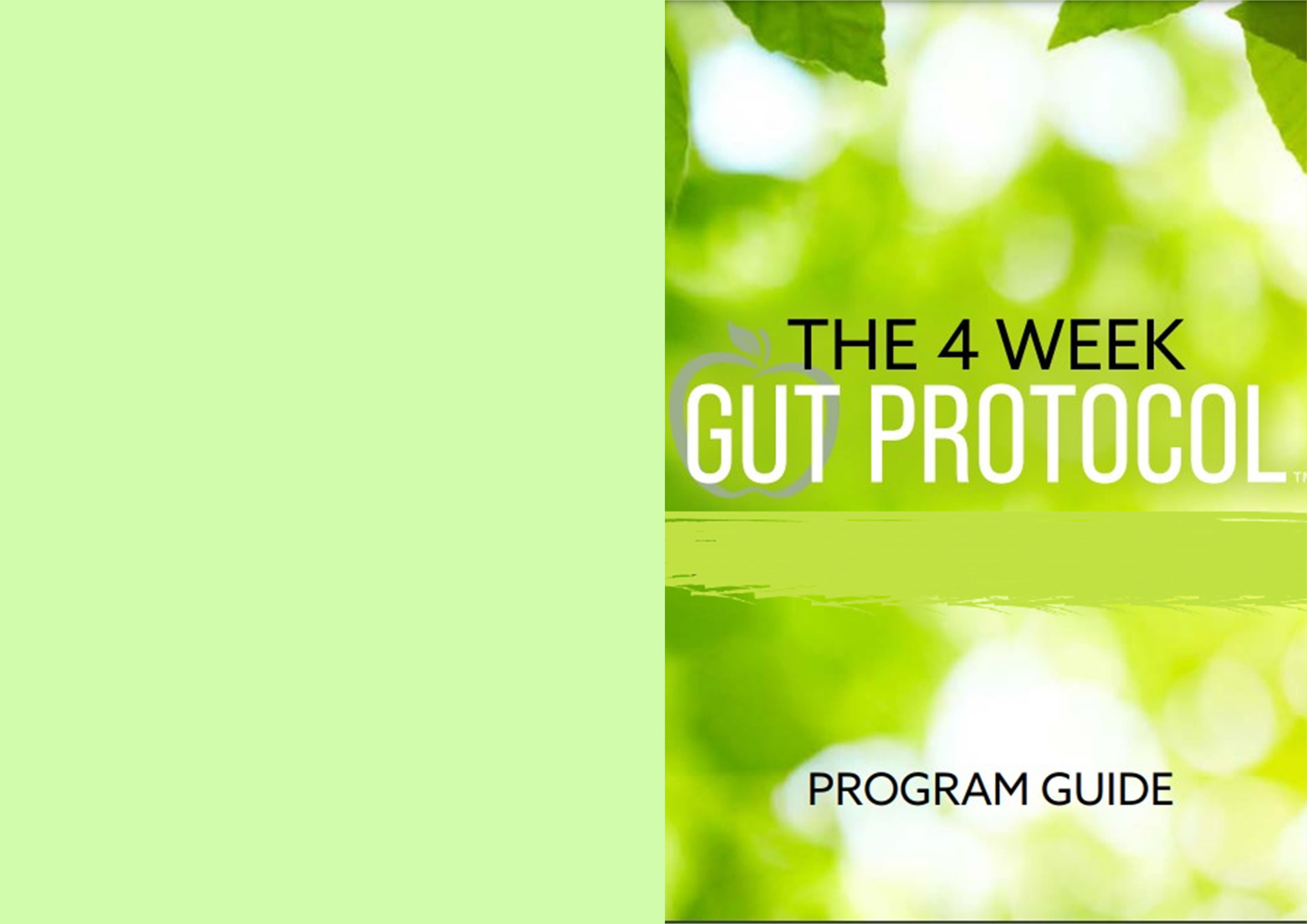 4 Week Gut Protocol cover image