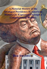 A Pictorial History of the Strangest Presidency in American History (As Expressed Through a Compilation of Memes). cover image