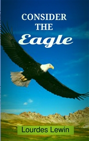 Consider The Eagle cover image