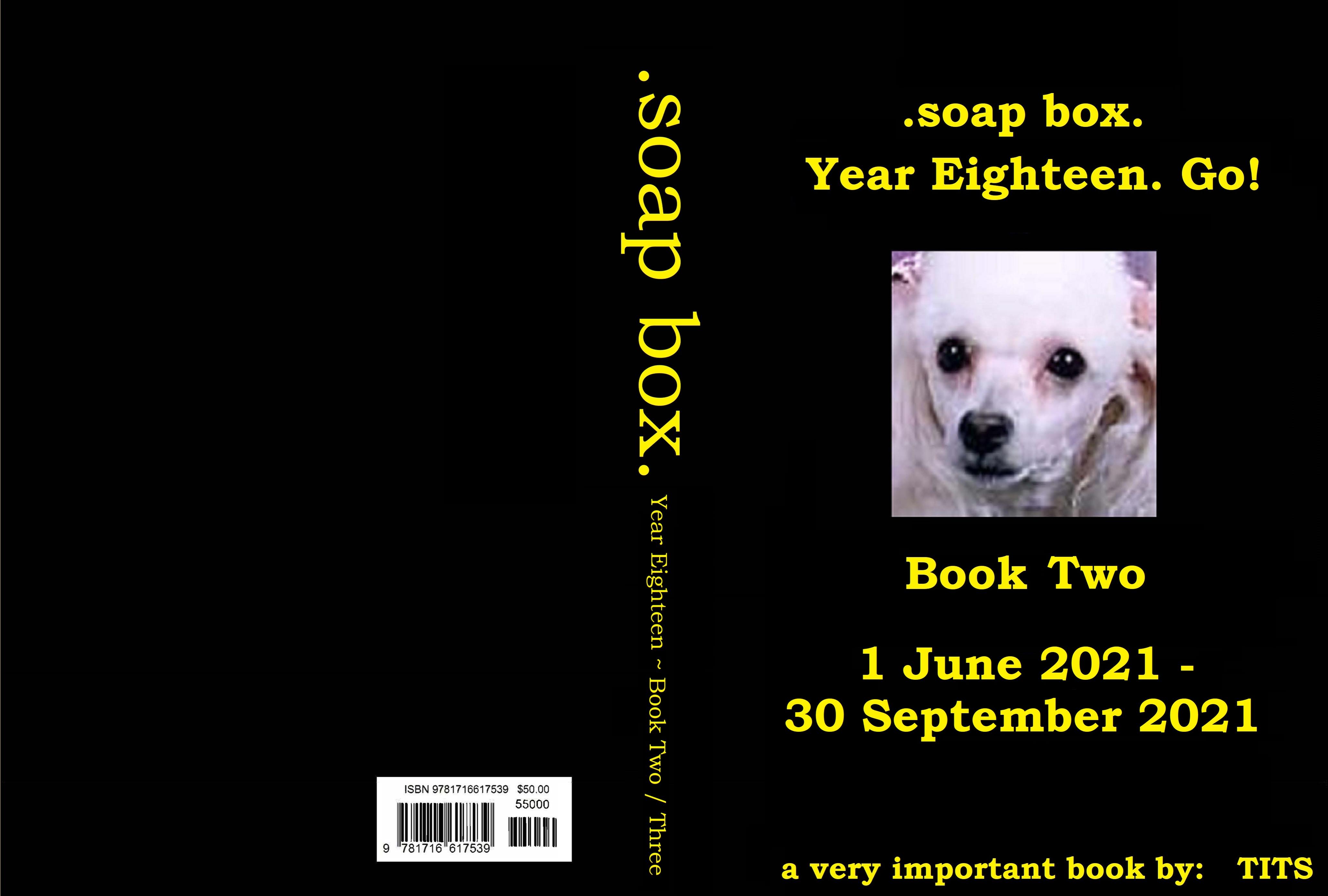 Year Eighteen Book Two cover image